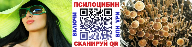 Псилоцибиновые грибы Magic Shrooms  Феодосия 